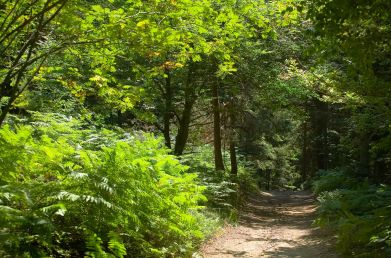 hotel-chambon-sur-lignon