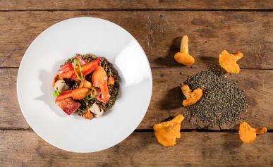 hotel-chambon-sur-lignon